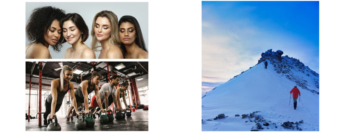 Functional Mushrooms