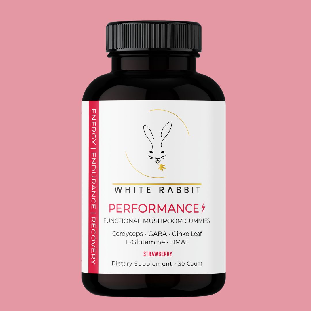 PERFORMANCE MUSHROOM GUMMIES