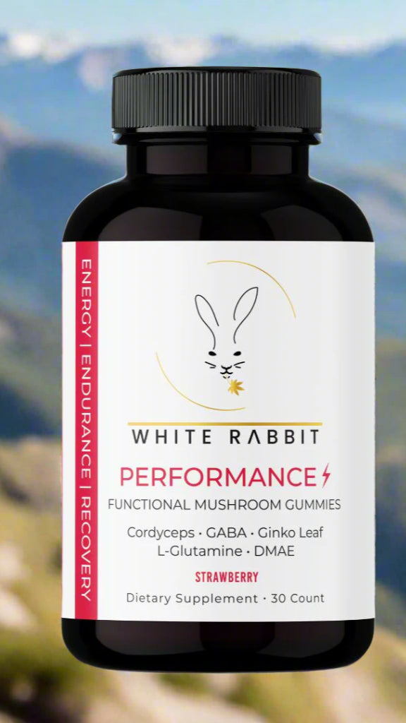 PERFORMANCE MUSHROOM GUMMIES